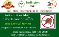 Pest Control Burlington image 5